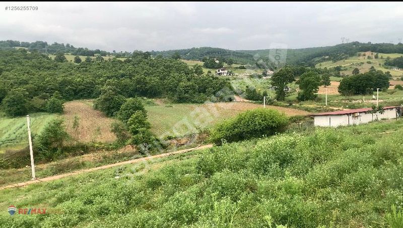 KOCAELİ İZMİT KAYNARCA MAH. KÖYİÇİ KISMİ İMARLI SATILIK TARLA