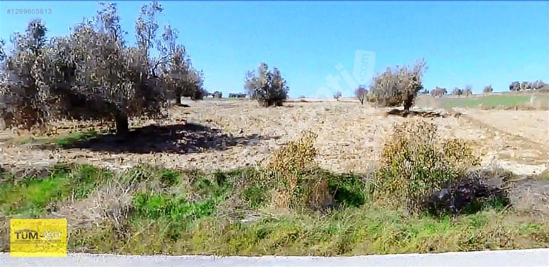 Çanakkale Eceabat Alçıtepe Köyünde Asfalt Cephe Müstakil Arazi