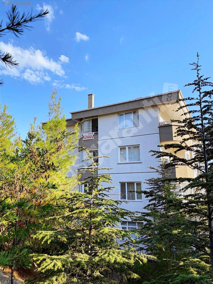 ALTIN EMLAK BEYPAZARI TEMSİLCİLİĞİ