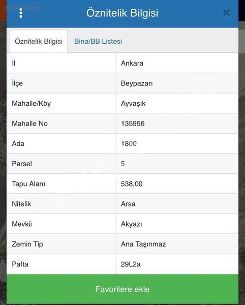 ALTIN EMLAK BEYPAZARI TEMSİLCİLİĞİ