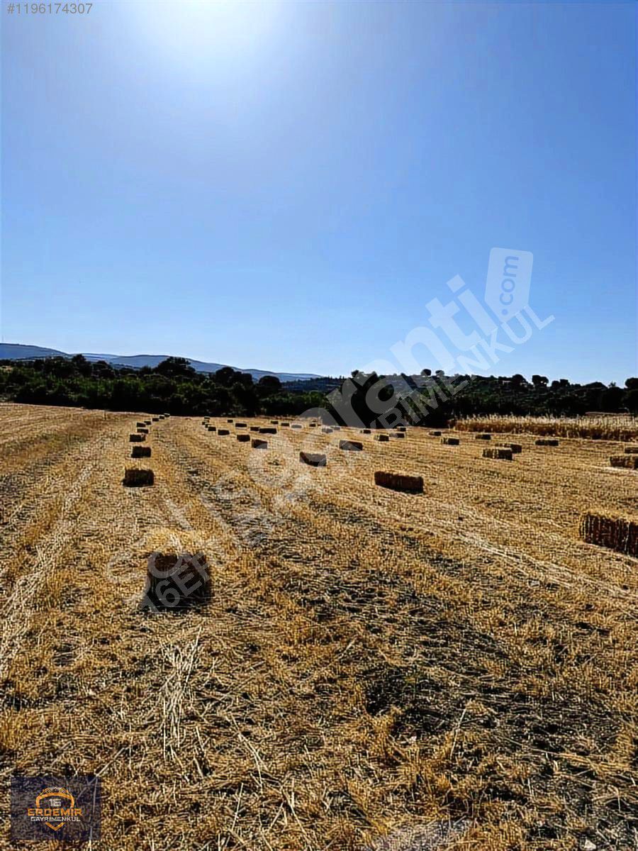 BALIKESİR BİGADİÇTE SATILIK TARLA