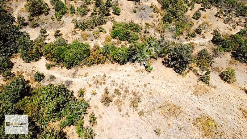 BALIKESİR MANYAS NECİP MAH. SATILIK TARLA 9.691 M2
