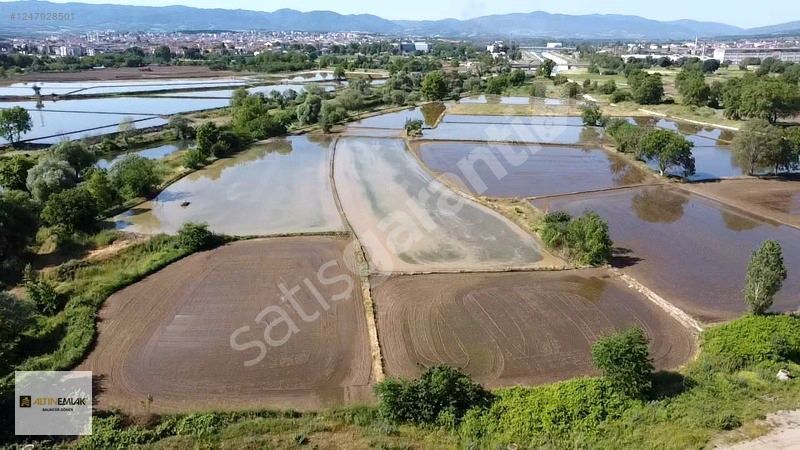 BALIKESİR GÖNEN KURTULUŞ MAH.SARI TOPRAK 3 PARÇA ÇELTİK TARLASI