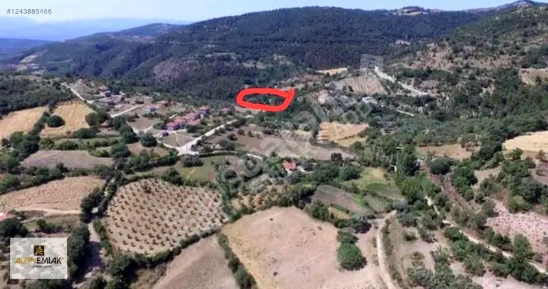 İZMİR BERGAMA MURATLAR 5970 M2 SATILIK ARAZİ