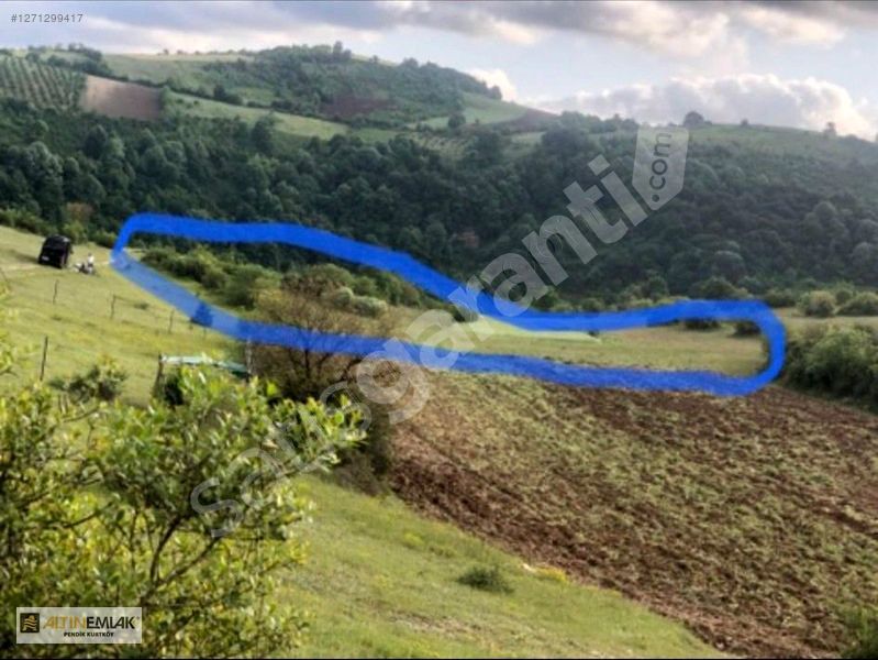 ALTIN EMLAK'TAN KÖRFEZ ALİHOCALAR KÖYÜN'DE KELEPİR SATILIK ARSA