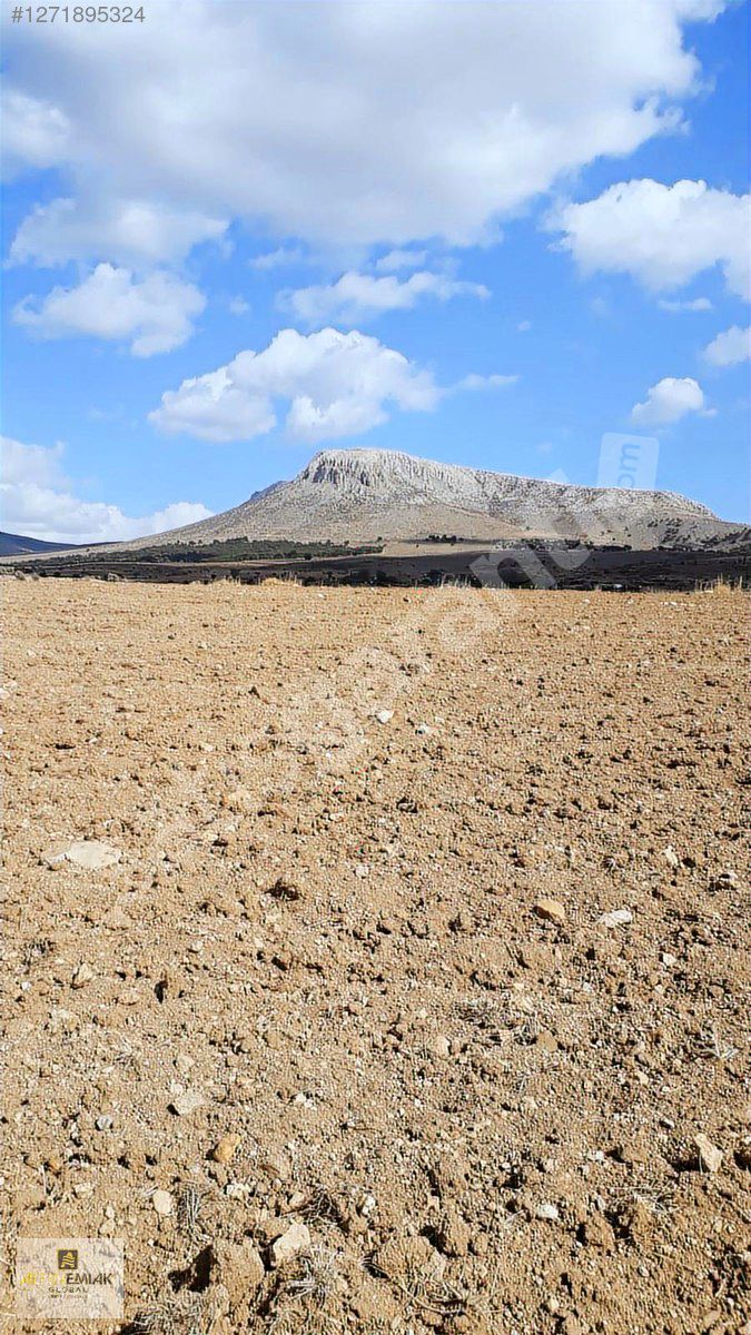 ALTIN EMLAK' TAN KIZILÖRENDE 2536 M2 MÜSTAKİL TAPULU TARLA