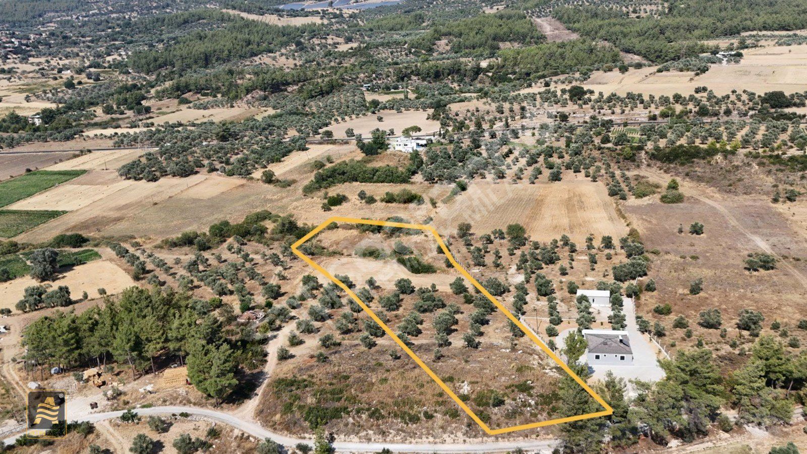 Milas Çamköy'de Satılık Zeytinlik