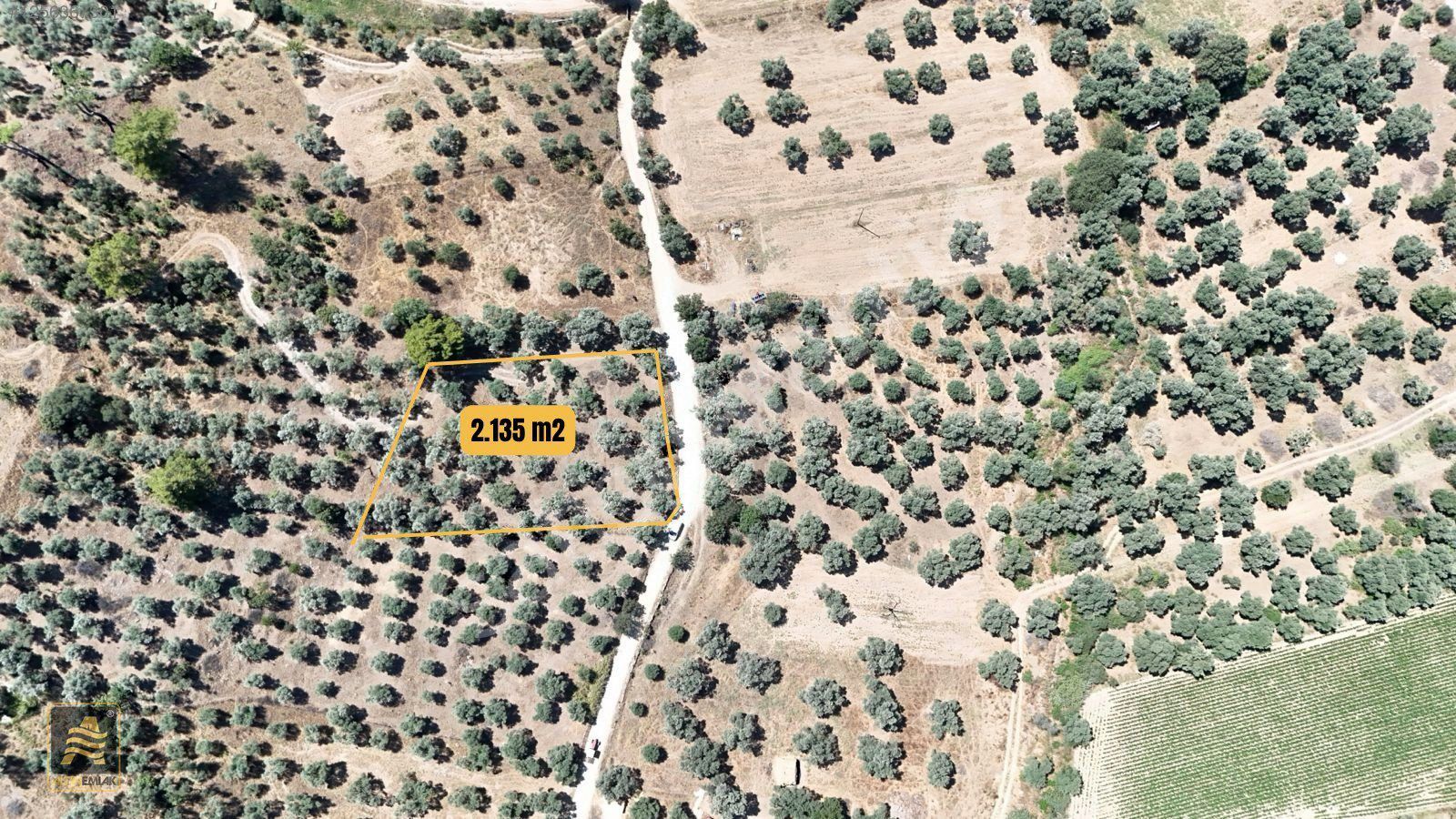 ALTIN EMLAK'tan Verimli 2.135 m2 Satılık Zeytinlik