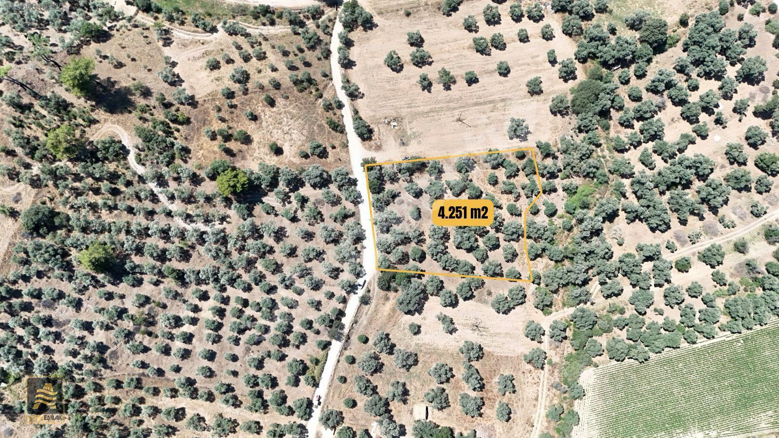 Altın Emlak Güvencesiyle Satılık 4.251 m² Zeytinlik