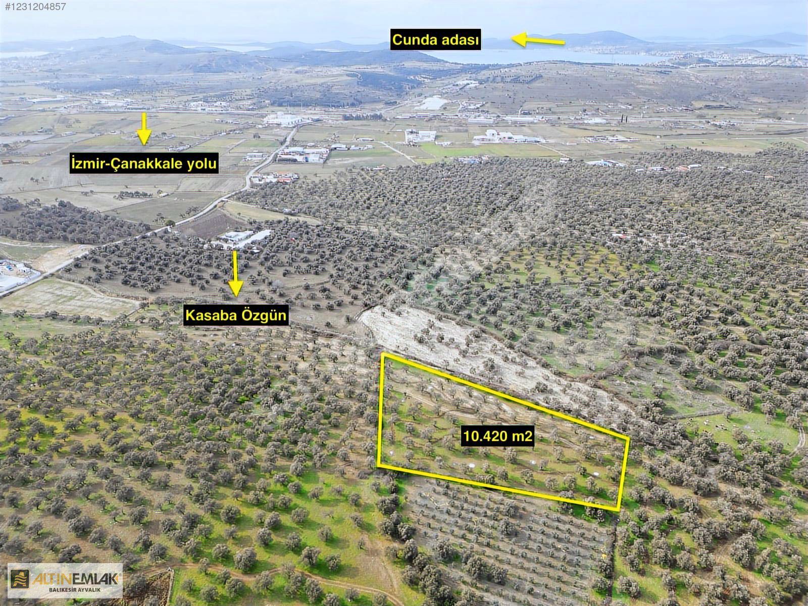 ALTIN EMLAKTAN AYVALIKTA SATILIK 10.400 M2 ZEYTİNLİK