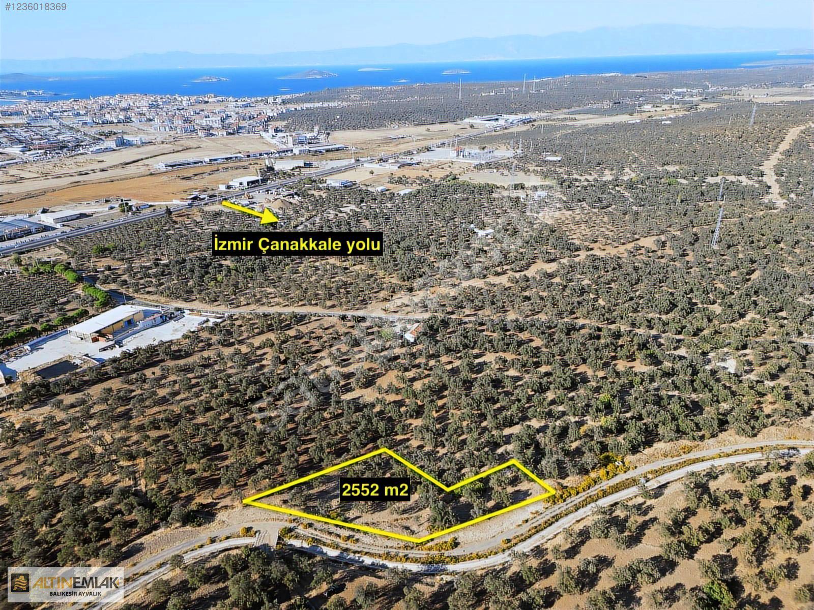 ALTIN EMLAKTAN KAZIMKARABEKİRDE 2.552 M2 SATILIK ZEYTİNLİK