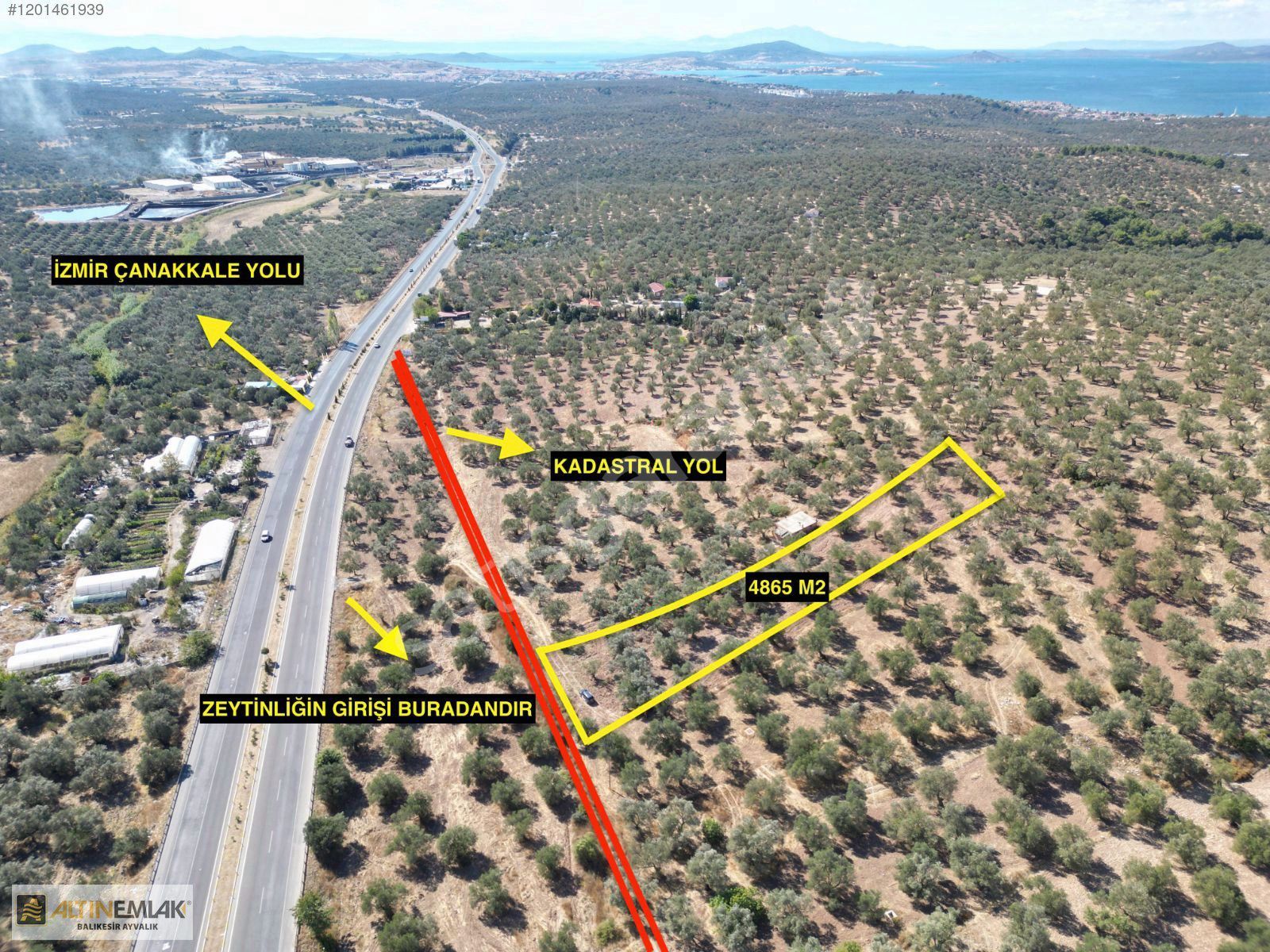 ALTIN EMLAKTAN AYVALIK SAHİLKENT MAH. 4865 M2 ZEYTİNLİK
