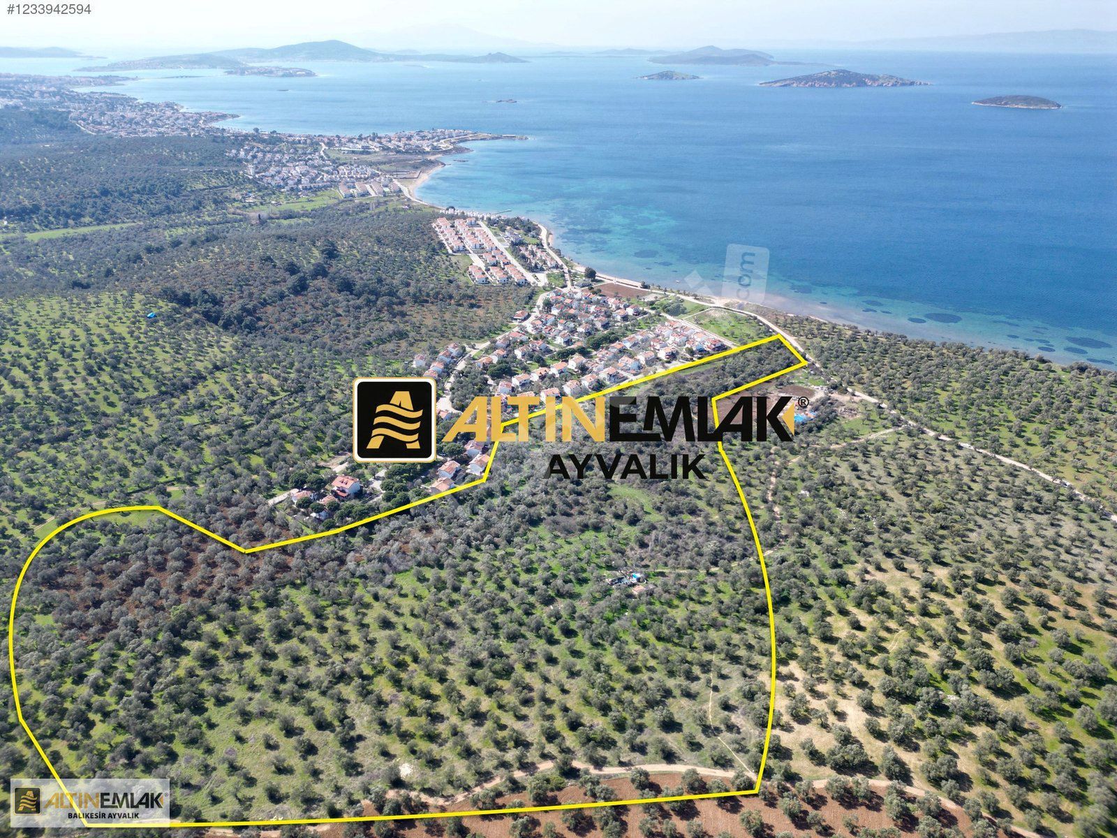 ALTIN EMLAKTAN İMAR SINIRINDA SATILIK 260 m2 HİSSELİ ZEYTİNLİK