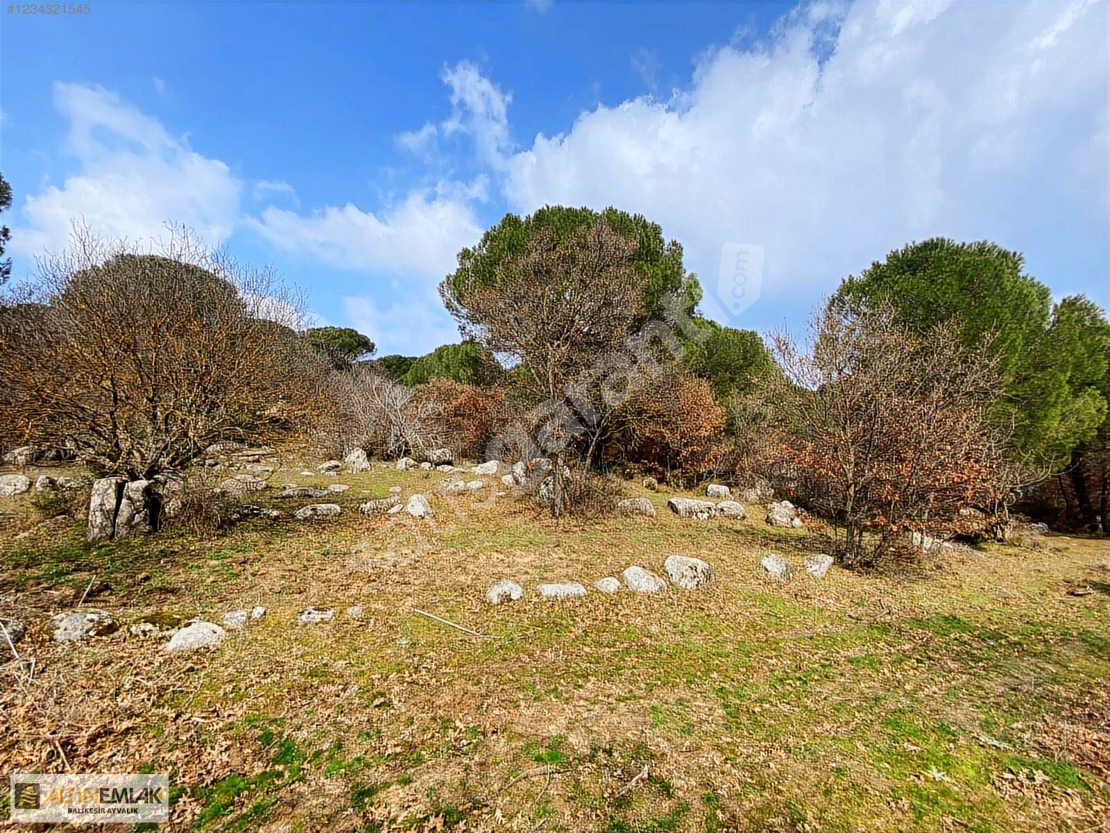 ALTIN EMLAKTAN AYVALIK BAĞYÜZÜNDE 3761 M2 SATILIK BAĞ