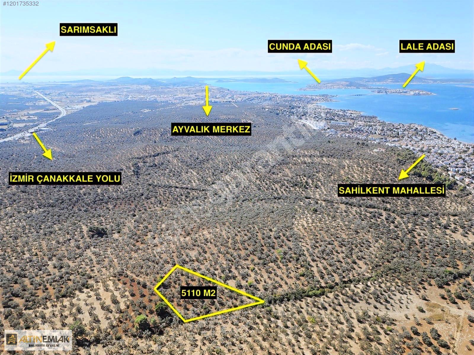 ALTIN EMLAKTAN SAKARYA MAH. SATILIK 5108 M2 VERİMLİ ZEYTİNLİK