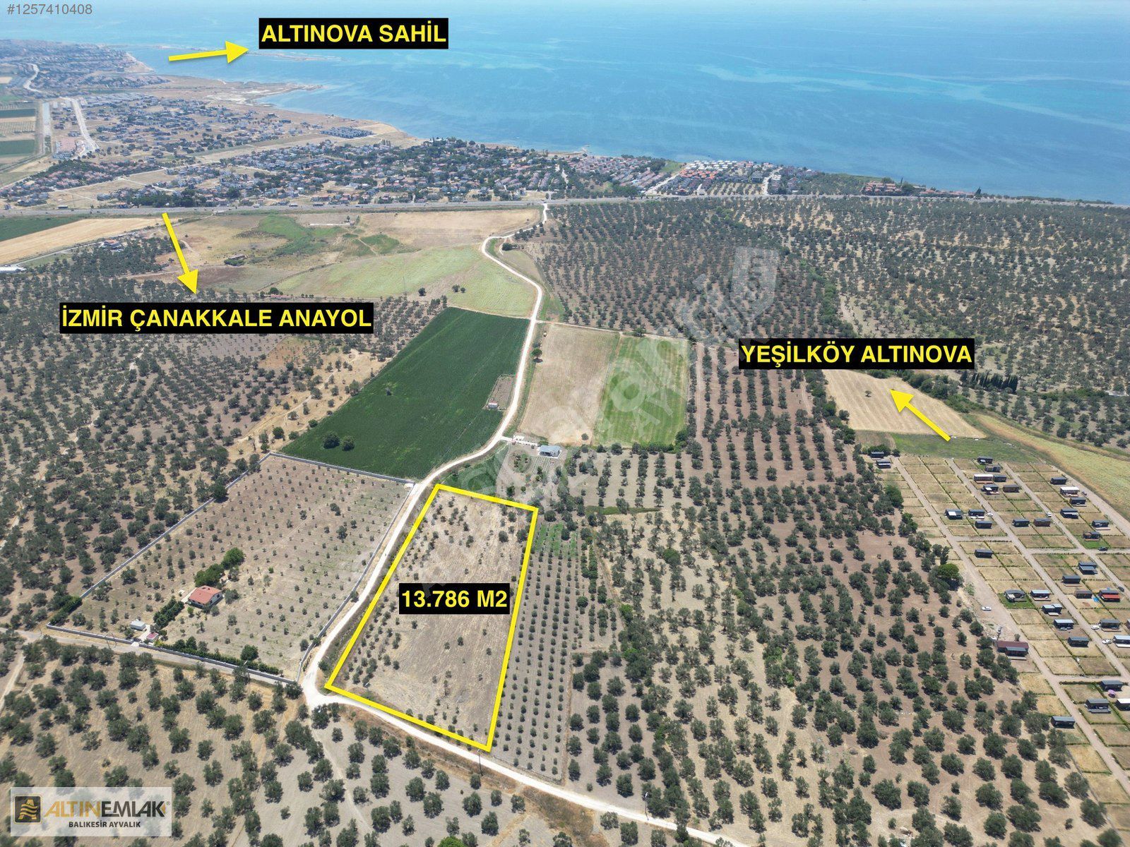 ALTIN EMLAKTAN AYVALIKTA İZMİR ANAYOLA YAKIN 13.786 M2 ZEYTİNLİK