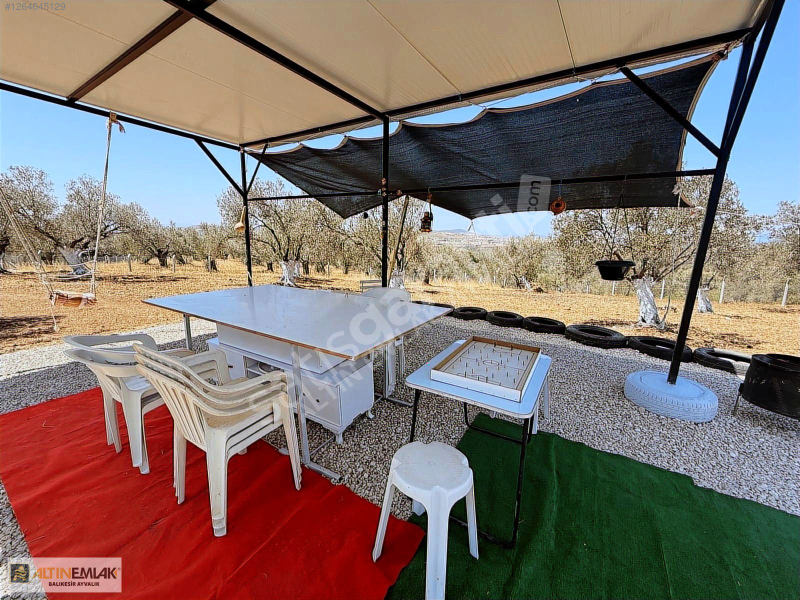 AYVALIK MUTLUKÖYDE SATILIK DENİZ MANZARALI 3787 m2 ZEYTİNLİK