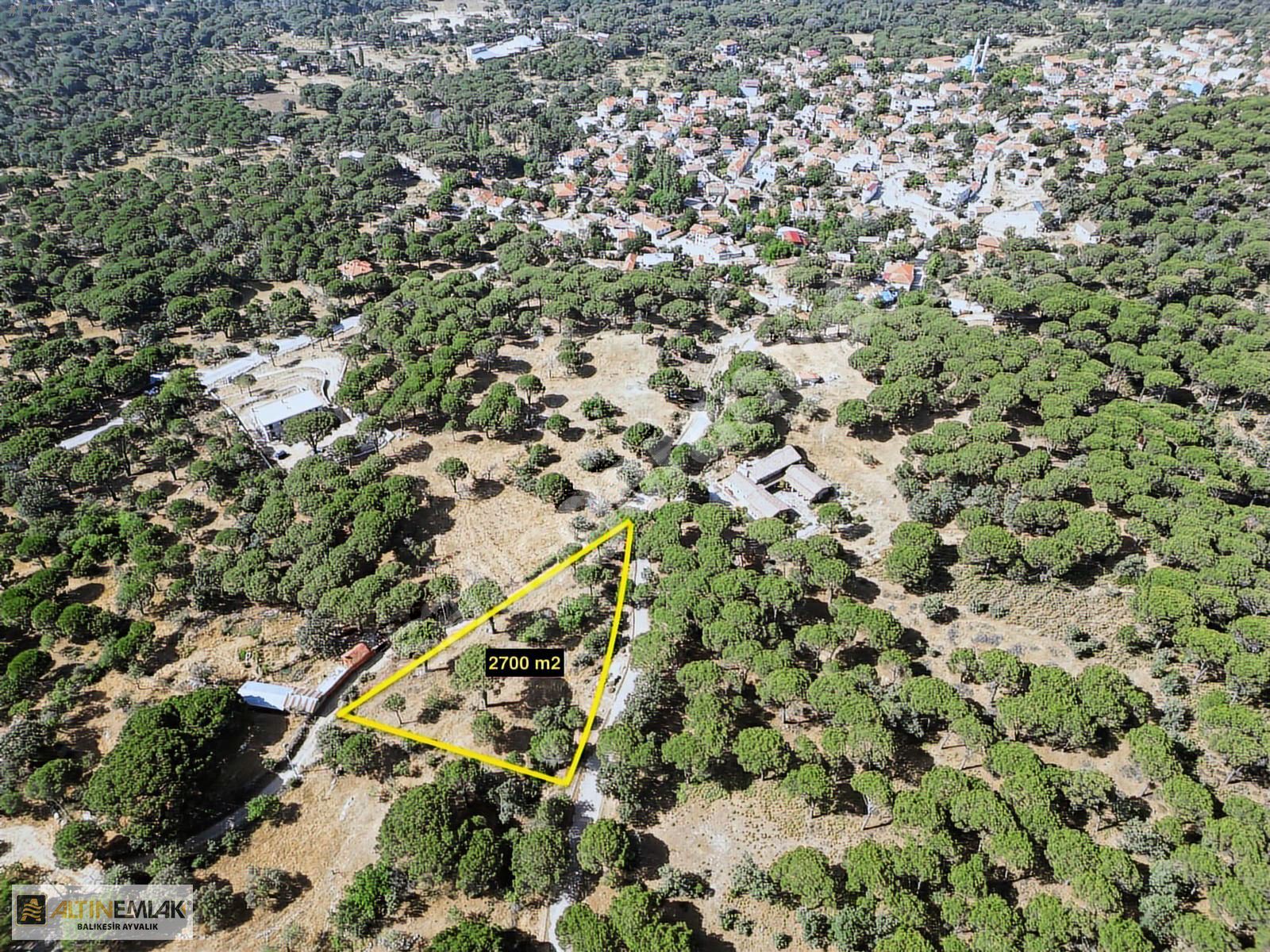 ALTIN EMLAKTAN AYVALIK BAĞYÜZÜNDE SATILIK 2700 M2 BAĞ