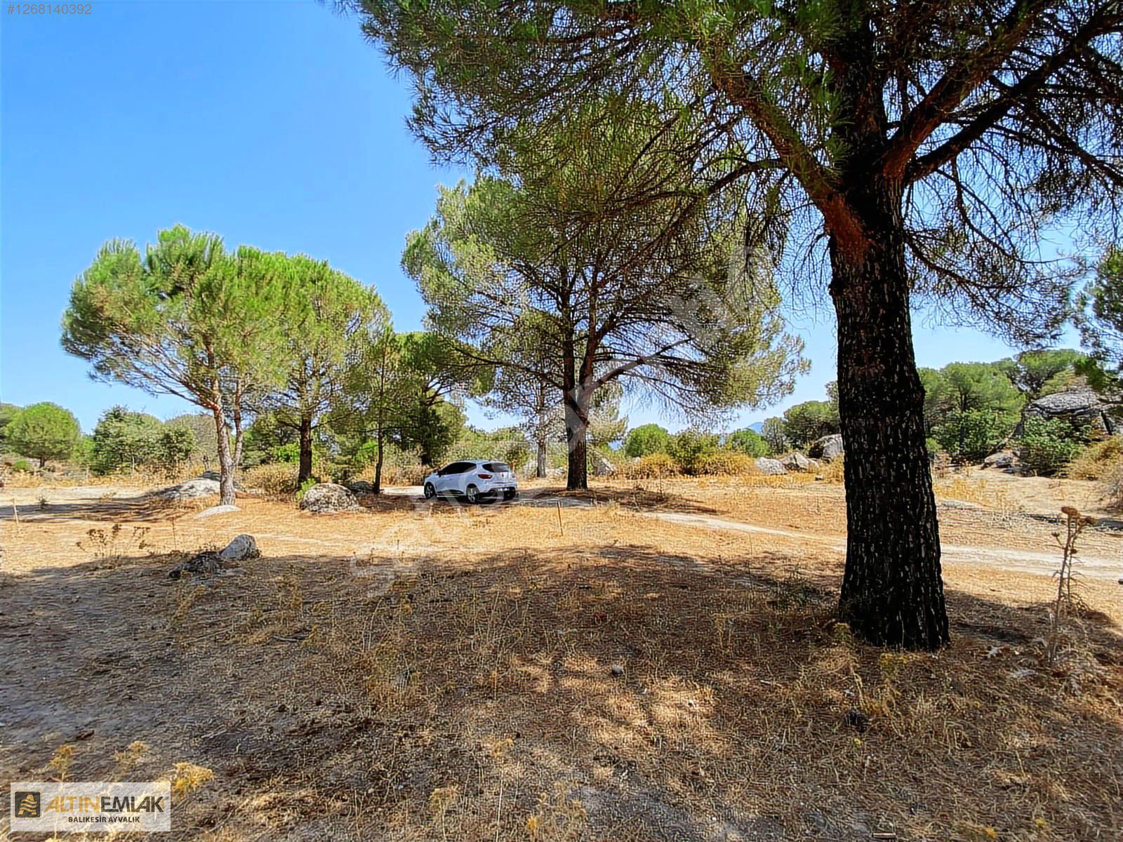 ALTIN EMLAKTAN BERGAMA AŞAĞICUMADA SATILIK 2500M2 TARLA