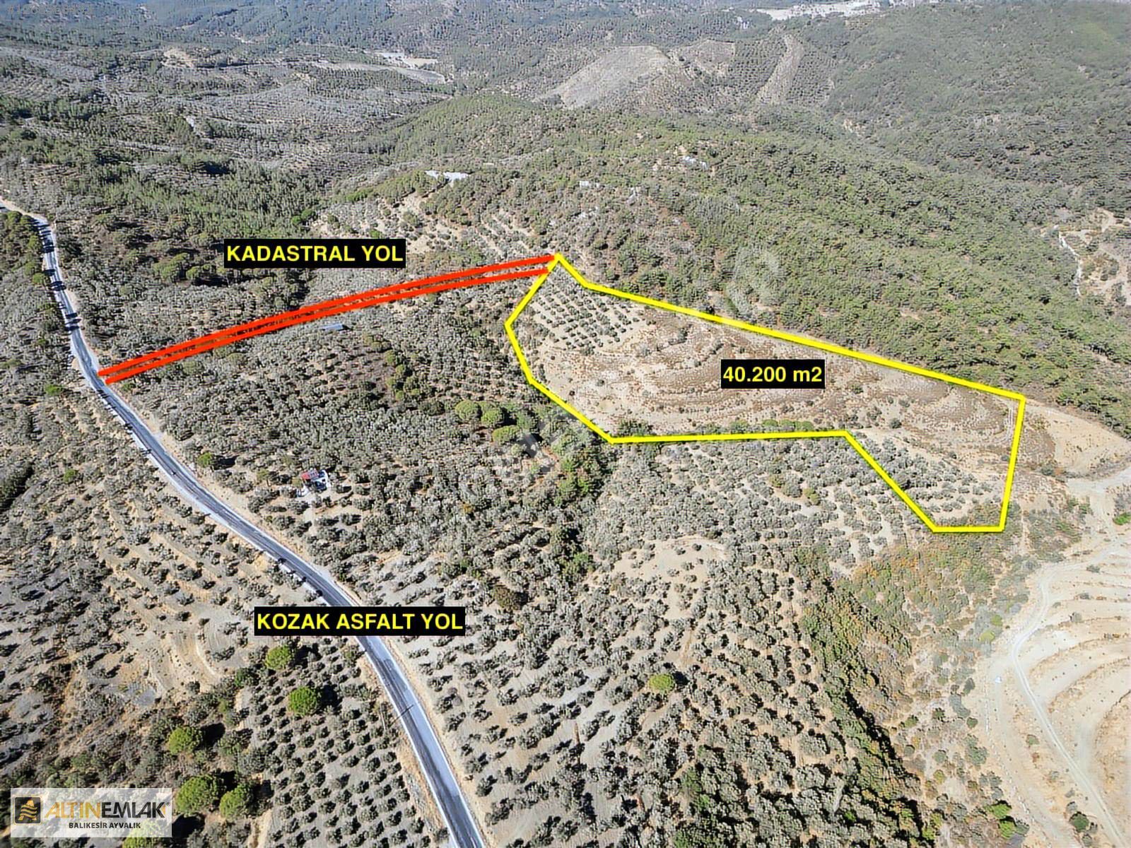 ALTIN EMLAKTAN AYVALIK BAĞYÜZÜNDE SATILIK 40.200 M2 PALAMUTLUK