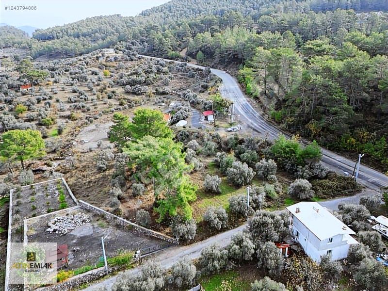 ALTIN EMLAK DALAMAN GÜRKÖY DE 1780 M2 KÖŞE PARSEL MÜSTAKİL TAPU