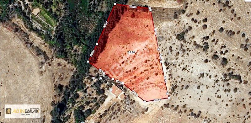Meram Dere Altınapa Barajına Yakın 5480m2 Müstakil Satılık Bahçe