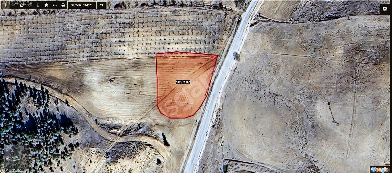 MERSİN MUT DAĞPAZARI 2680M2 TAPULU ASVALTÜSTÜ HAZİNESİOLAN ARAZİ