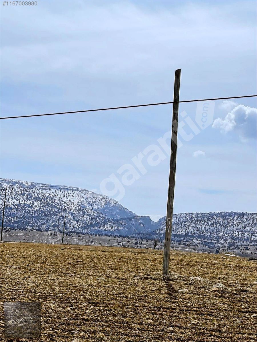 Mersin Mut Dağpazarında Asvalt Üstü Köymerkezine Yakın Arazi