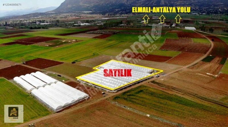 ALTIN EMLAKTAN ELMALI BOZHÜYÜKTE SERA VE EV (4225M2)