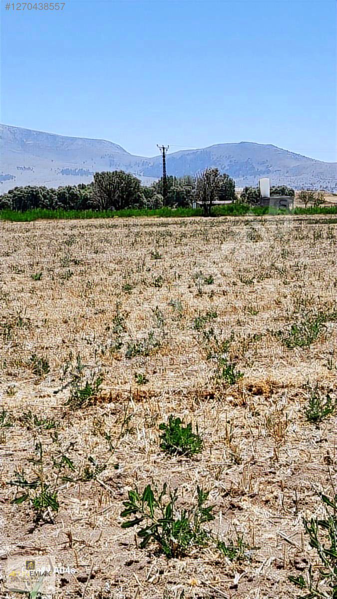 2482 M2 SULAK TARLA ELEKTRİK ALINABİLİR ANTALYA YOLUNA 300 METRE