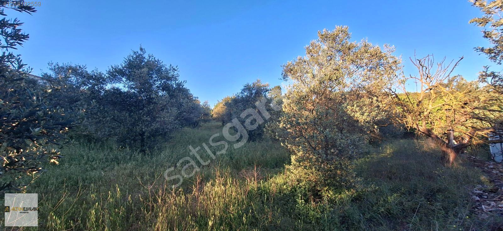 BALIKESİR-SOMA YOLUNDA, SAVAŞTEPE'ye 5dk mesafede,yolu mevcut