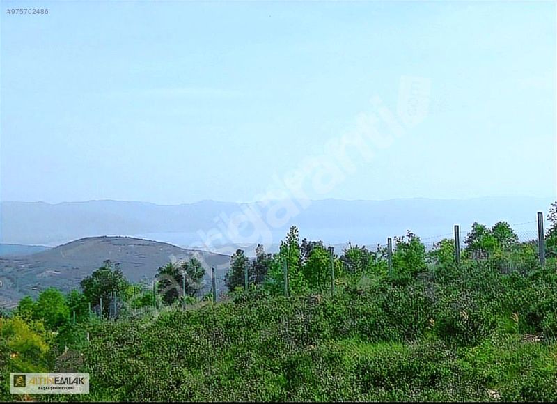 Bursa İznik Tacir'de 5.000m2 Satılık Tarla