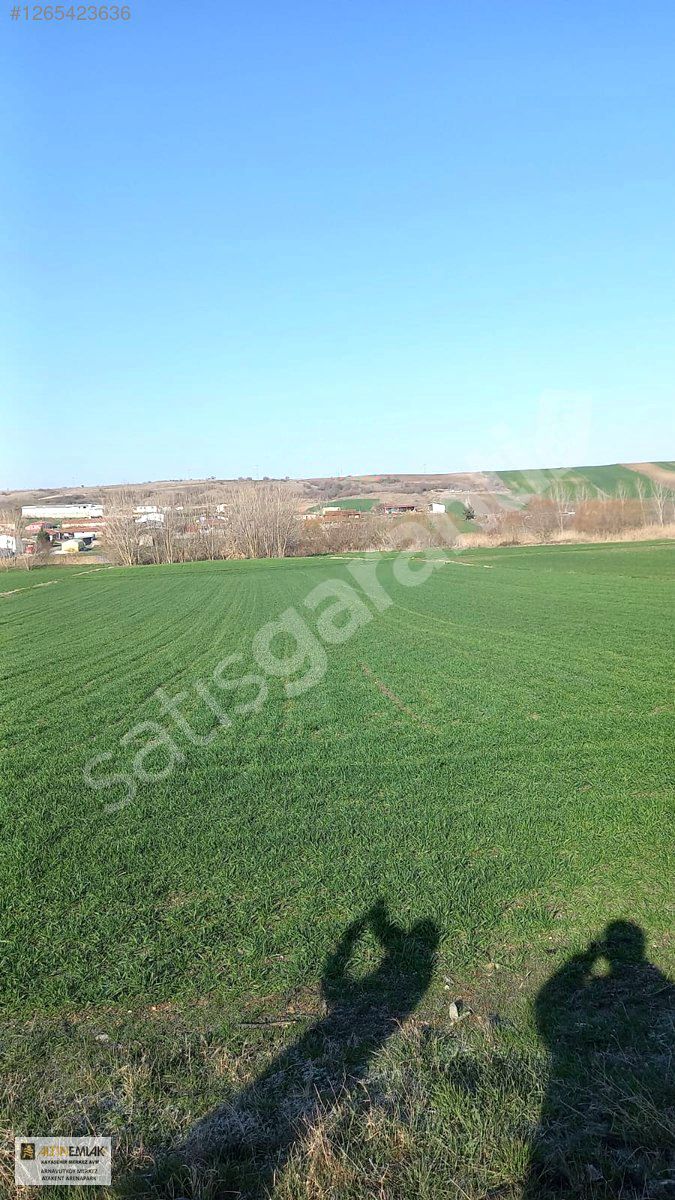 BABAESKİ KARACAOĞLAN 232m² Yol üzerin köy için de
