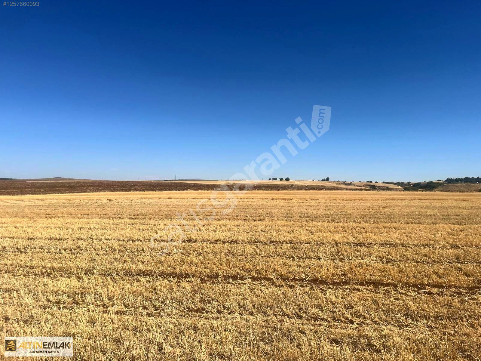 ALTIN EMLAK'TAN ÇAYBAŞINDA SATILIK 31.600m² TARLA VE BAĞ
