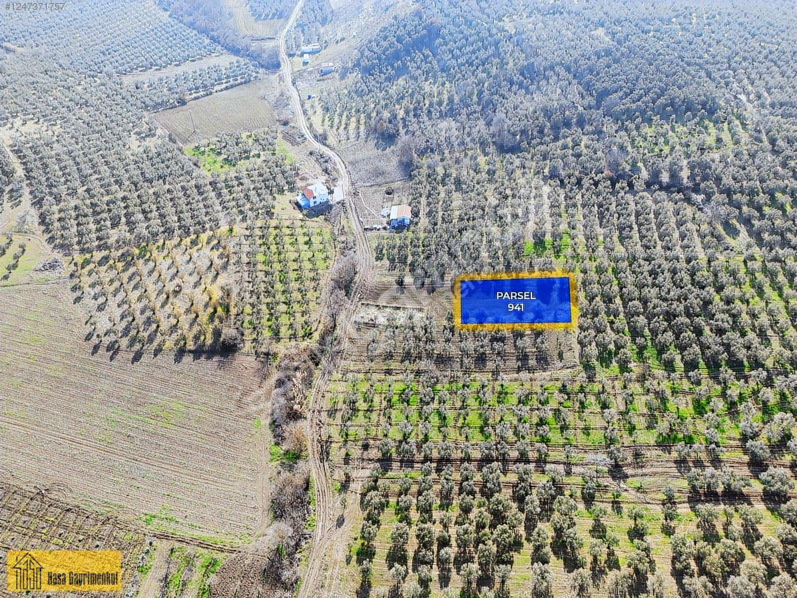 Kasa Gayrimenkul |Mudanya| Mürsel 226m² Satılık Arsa