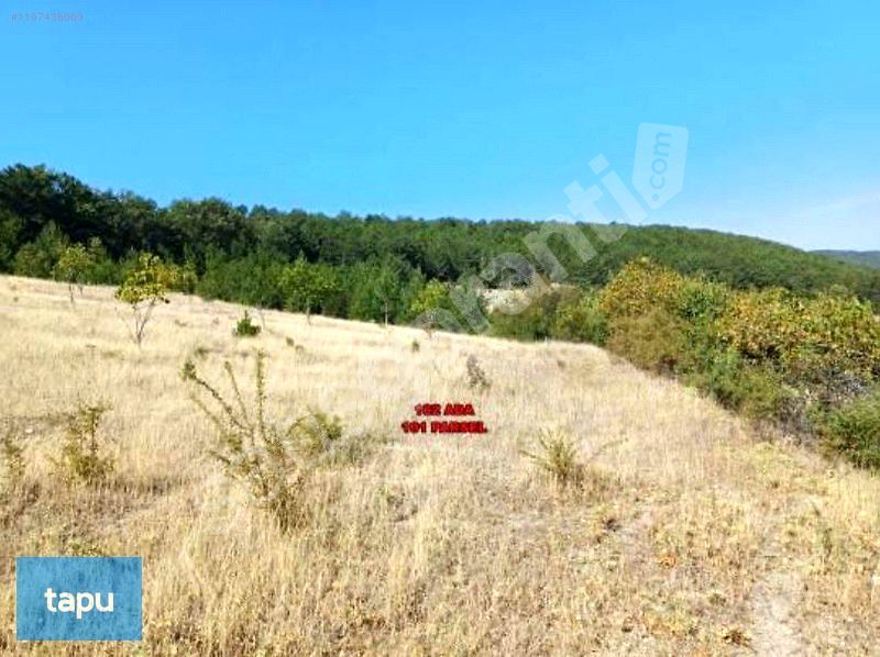 PAZARLIKLI Bursa Keleş Kıranışıklar Mahallesi'nde 9 Dönüm Tarla