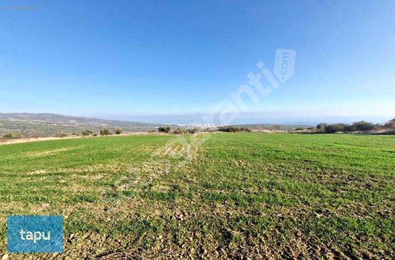 BANKADAN Tekirdağ Şarköy'de 245 m2 Konut İmarlı Arsa