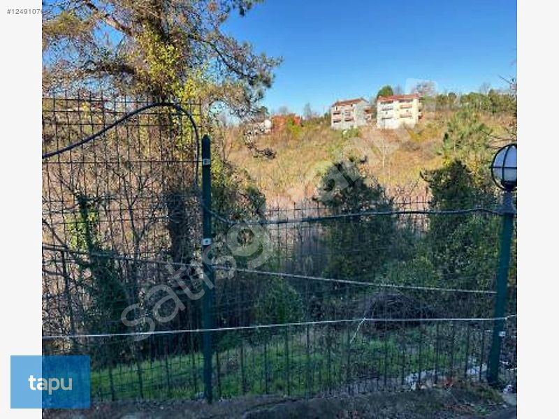 Düzce Akçakoca Ayazlı Mahallesi'nde Hisseli 3 Dönüm Fındık Bahçe