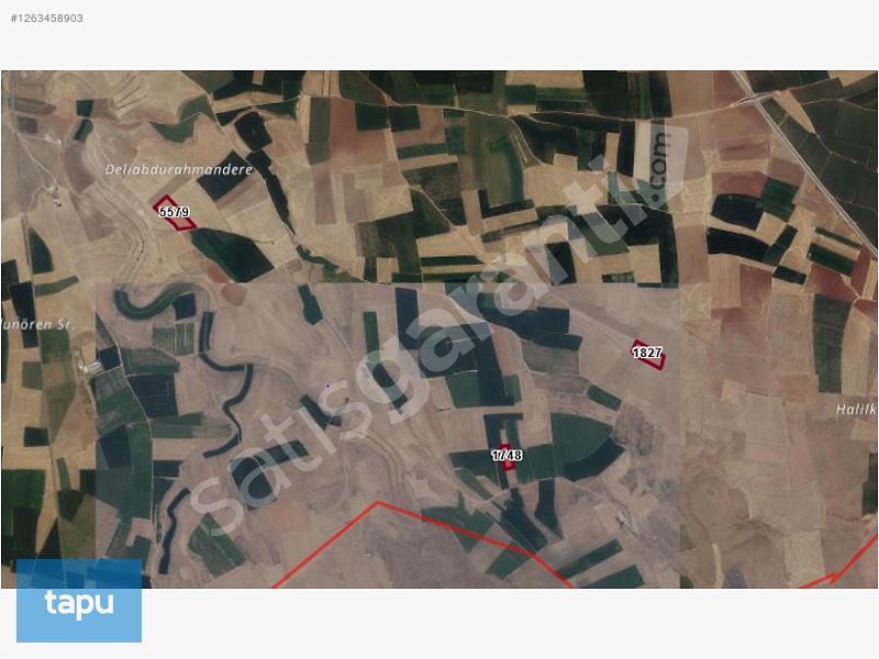 Konya Sarayönü Gözlü Mahallesi'nde 47.100 m2 3 Adet Tarla