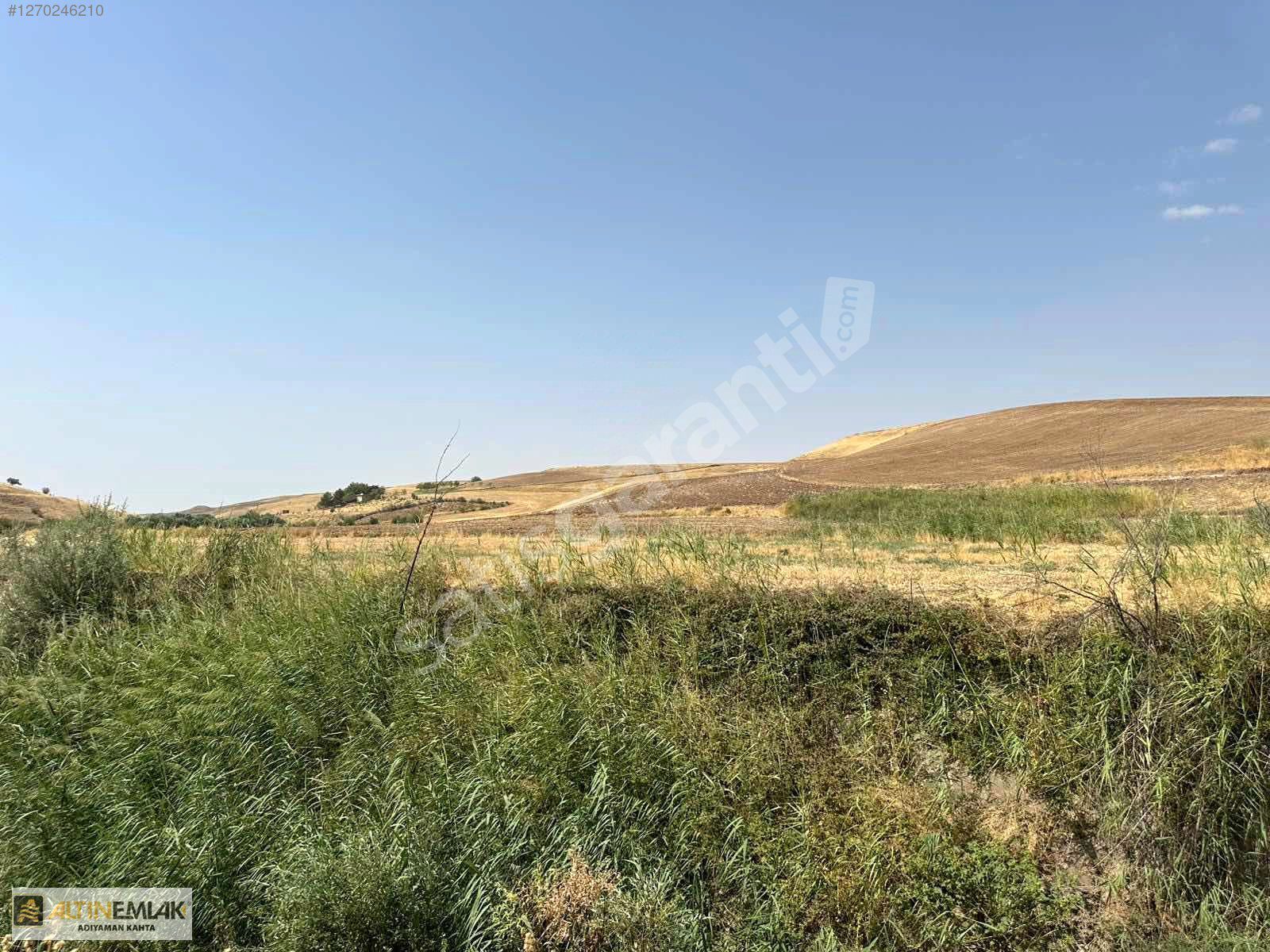 BAĞLAR (BİZRİN) DE SATILIK TARLA