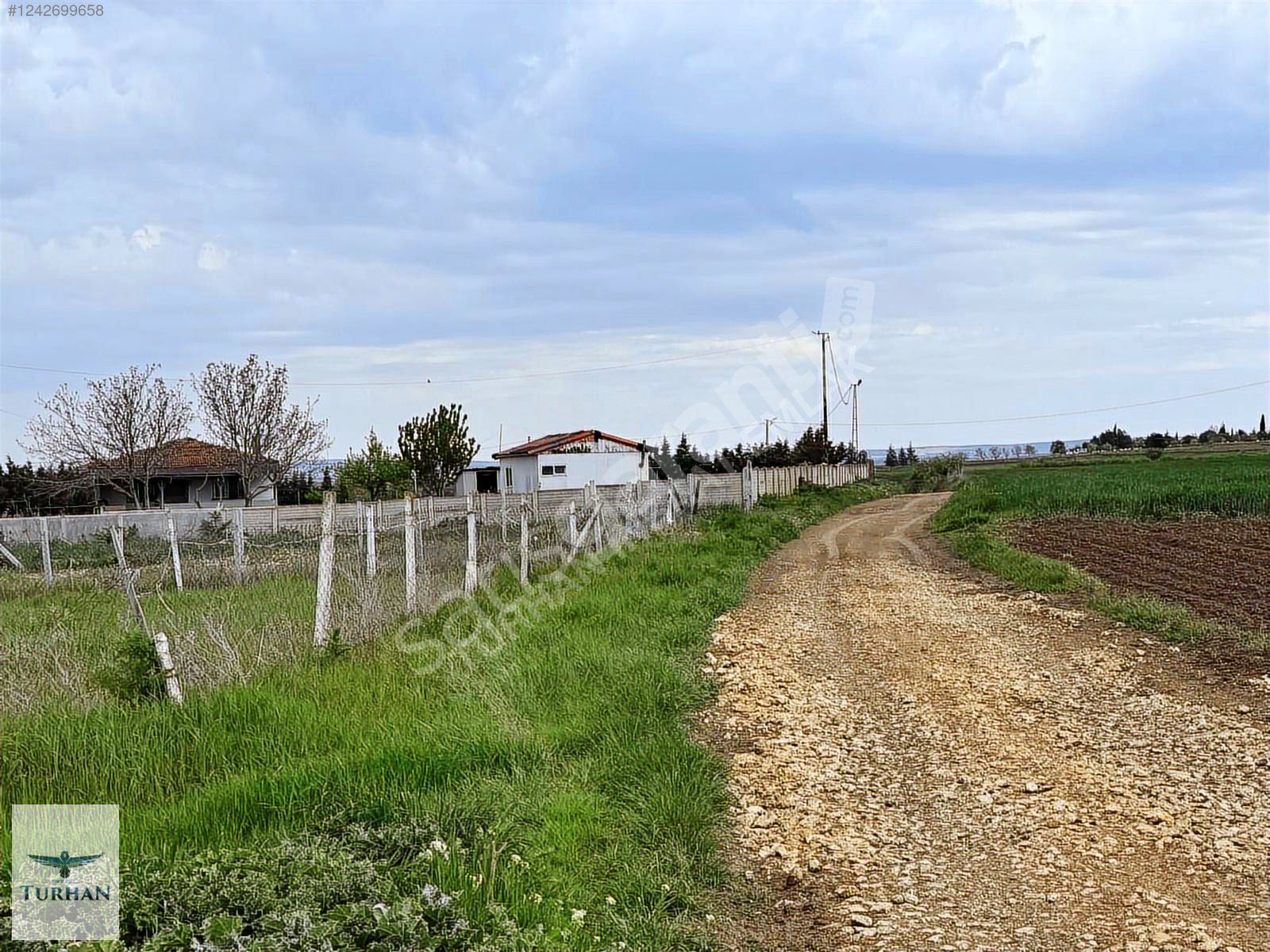 SARAY TAPU YAZ KIŞ YOLU OLAN TEK TAPU 2.100 M2 SATILIK TARLA