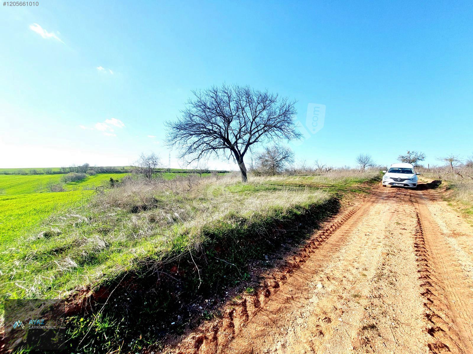 TEKİRDAĞ MALKARA KOZYÖRÜKTE BAĞ TAPULU SATILIK TARLA