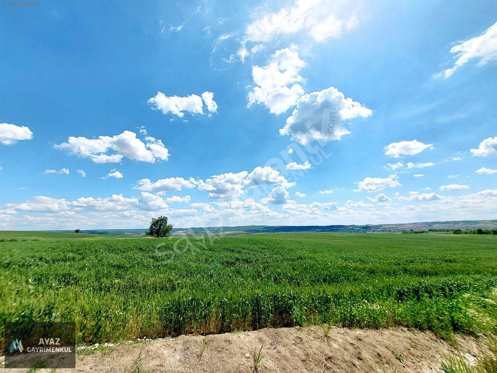 EDİRNE UZUNKÖPRÜ DEREKÖY'DE YATIRIMA UYGUN 586m2 SATILIK ARAZİ