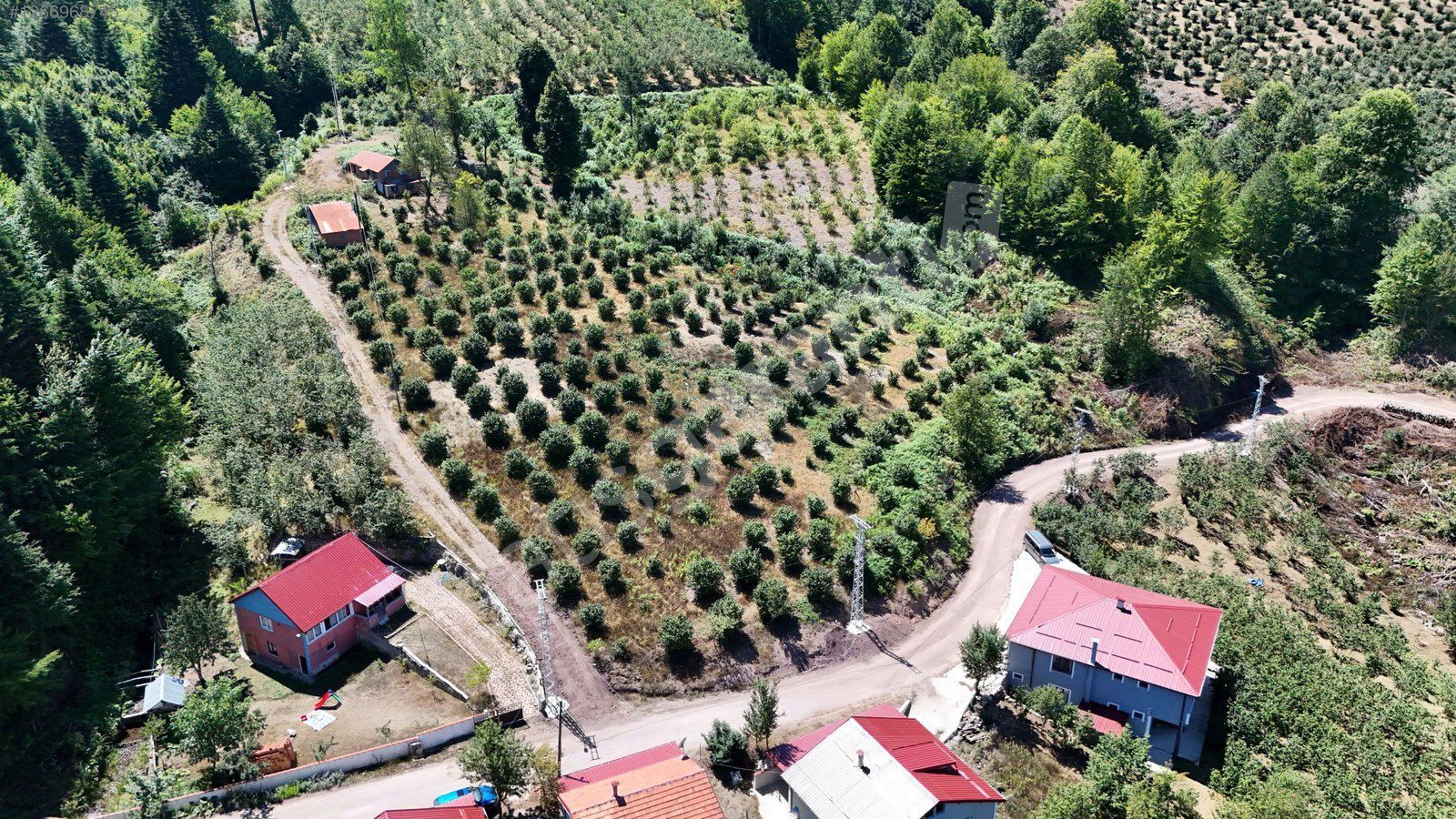 HENDEK YENİYAYLA MÜSTAKİL EV ve FINDIKLIK