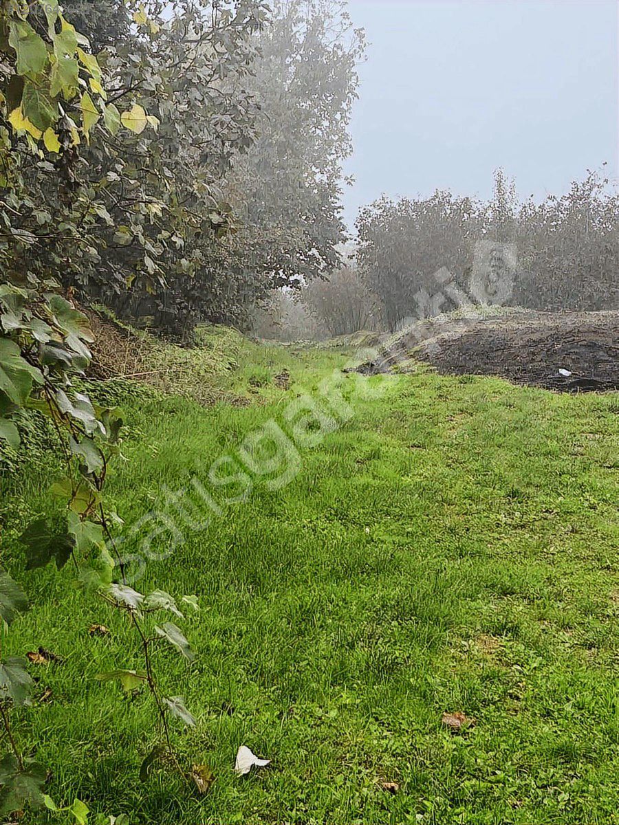 HENDEK KIRKTEPE MAH SÜPER KÖY İÇİ İMARLI ARSA VE ARSALAR