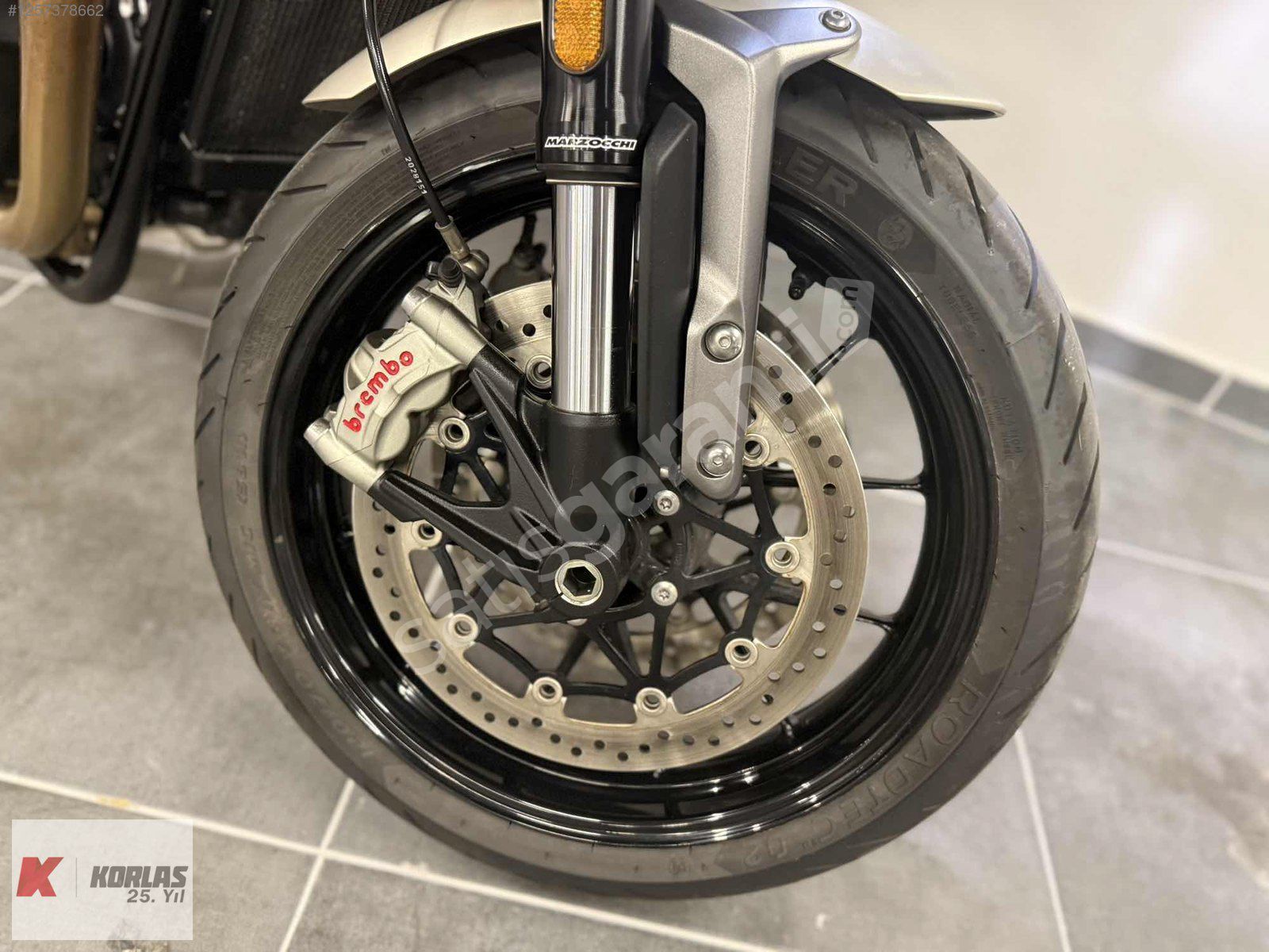 2023 SPEED TWIN 1200