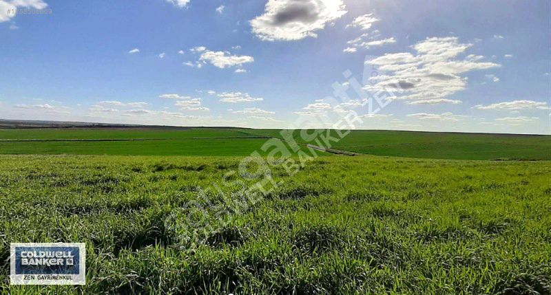 EDİRNE HAVSA ABALAR 15.650 M2 SATILIK TARLA