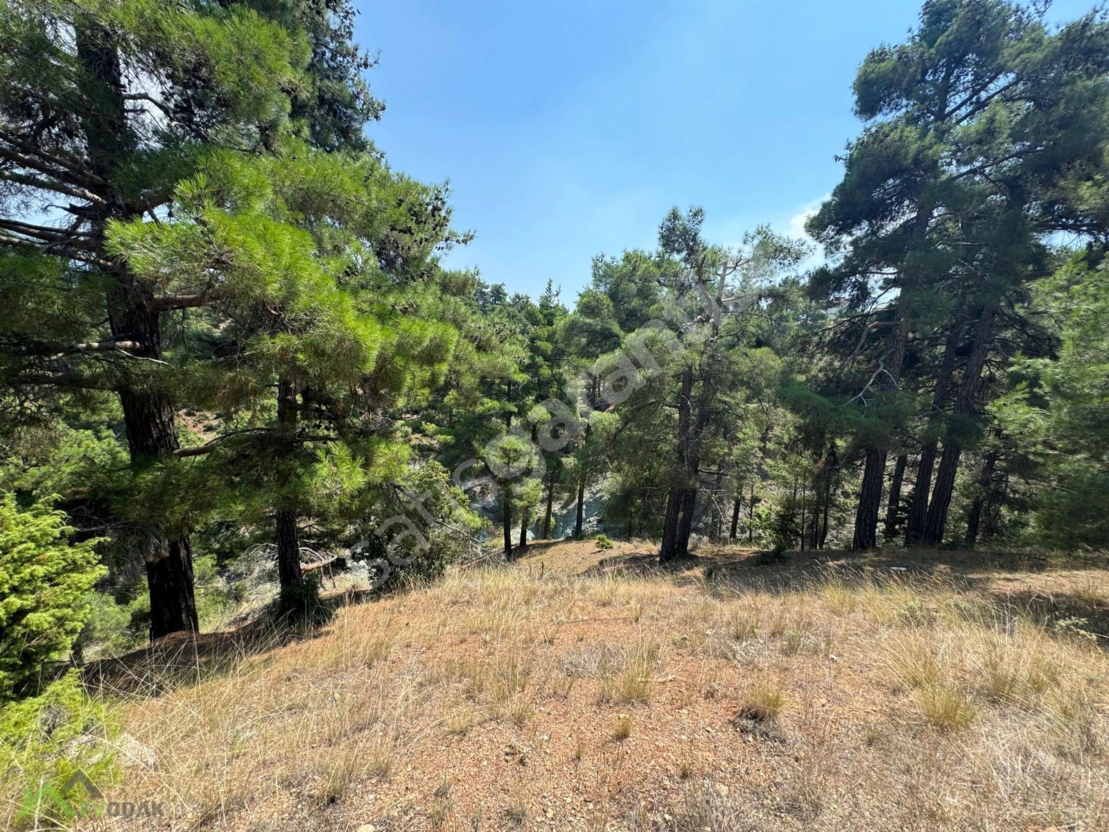 Kızılbağ GÜZEL YAYLA'da 6.000 m² Genişlikte Yatırımlık Arsa Fırs