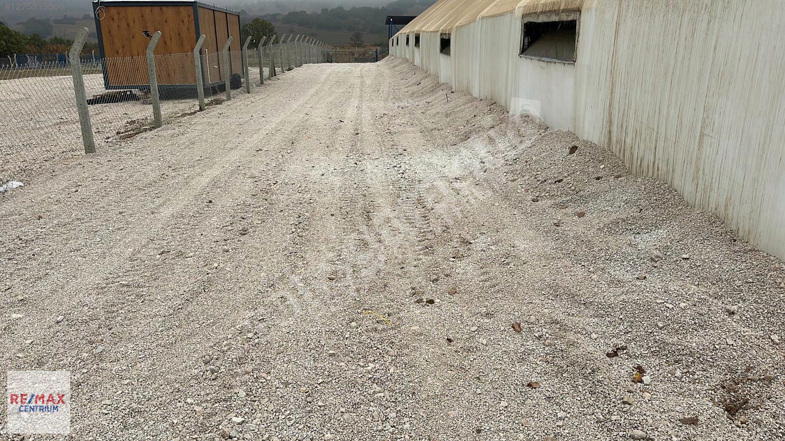 KIRKLARELİ YOĞUNTAŞ'DA HERŞEYİ İLE HAZIR 33 DNM ARAZİ VE ÇİFTLİK