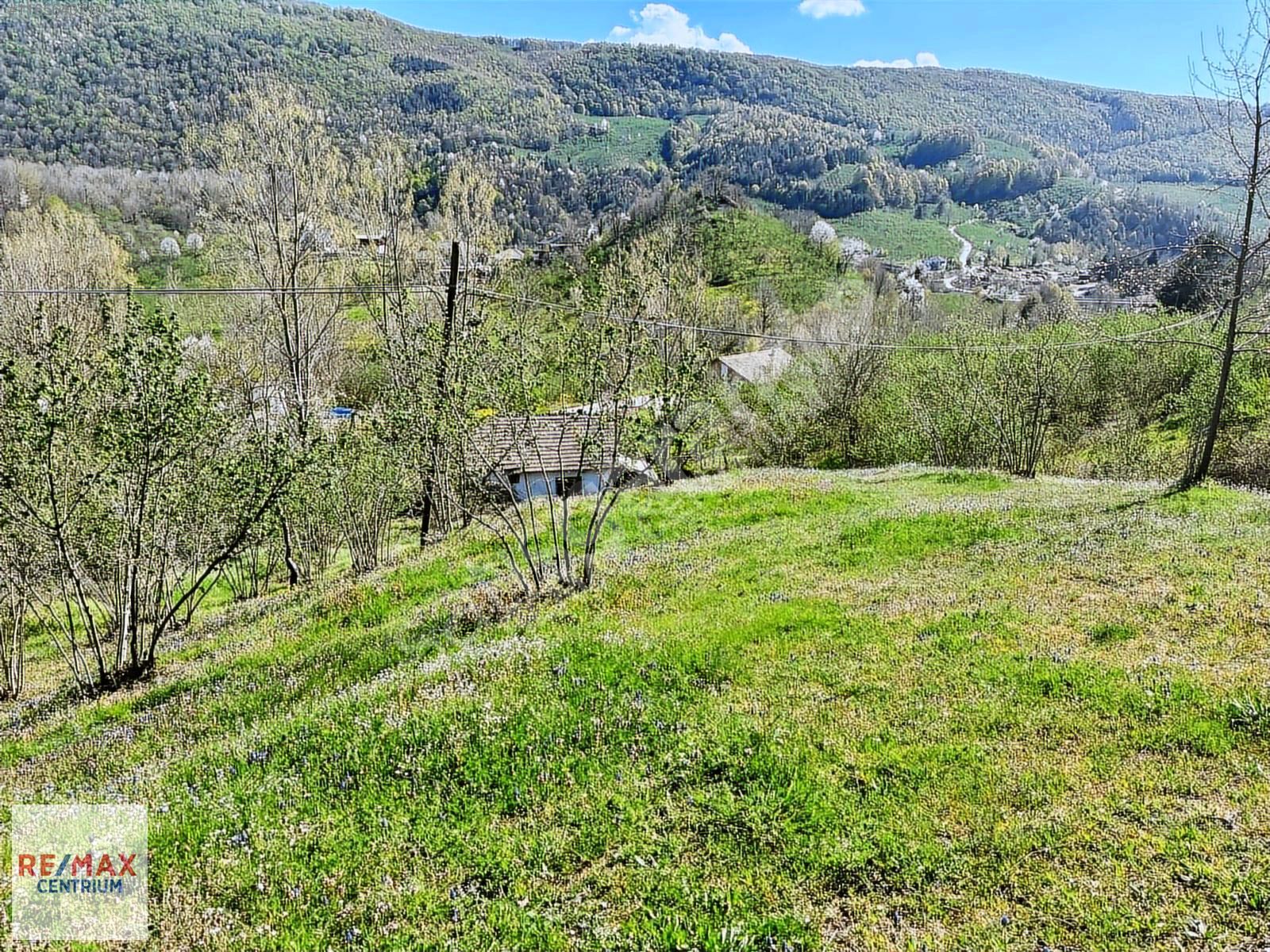 YIĞILCADA 150 FINDIKLI,MÜSTAKİL EV'Lİ,ÖMÜR UZATMA GARANTİLİ ARSA